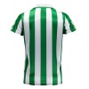 Oficiální Fotbalový Dres Real Betis Special 2023-24 pro Muži